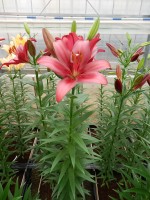 [5079 Constable No02.JPG]